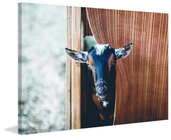 Wrapped Canvas Print, 30cm H x 45cm W