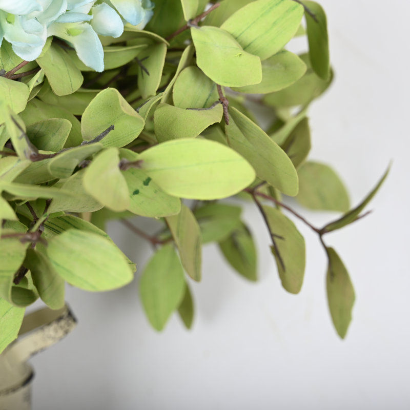 Arrangement d'hortensias en pot, Bleu / vert clair