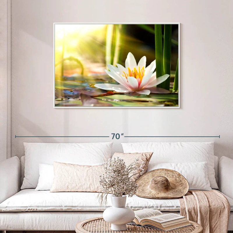 Nénuphar ensoleillé, Cadre flottant blanc, 43 po x 29 po
