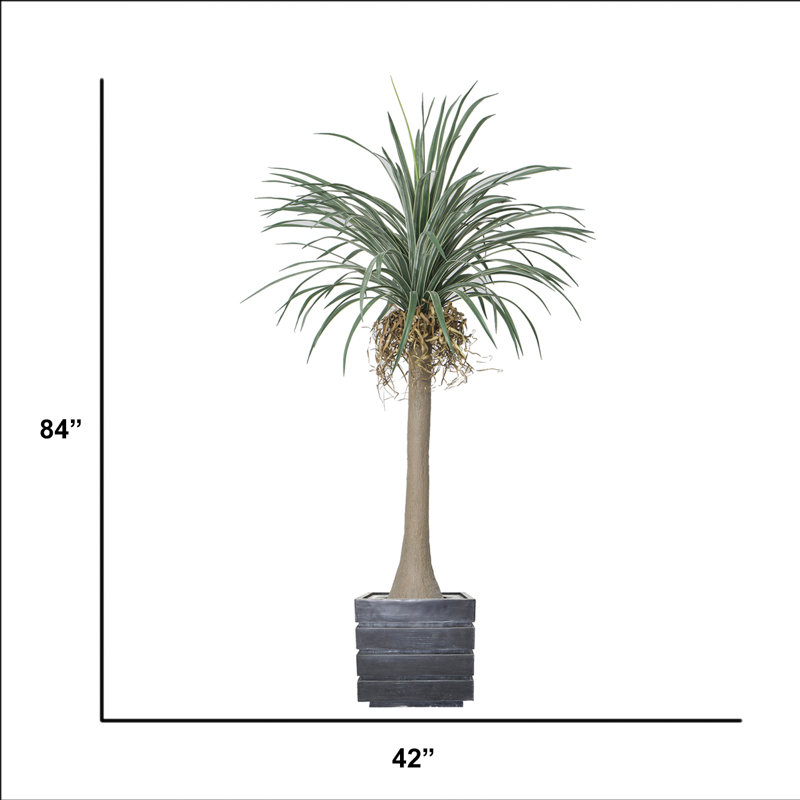 Dragon artificiel 84 po en pot