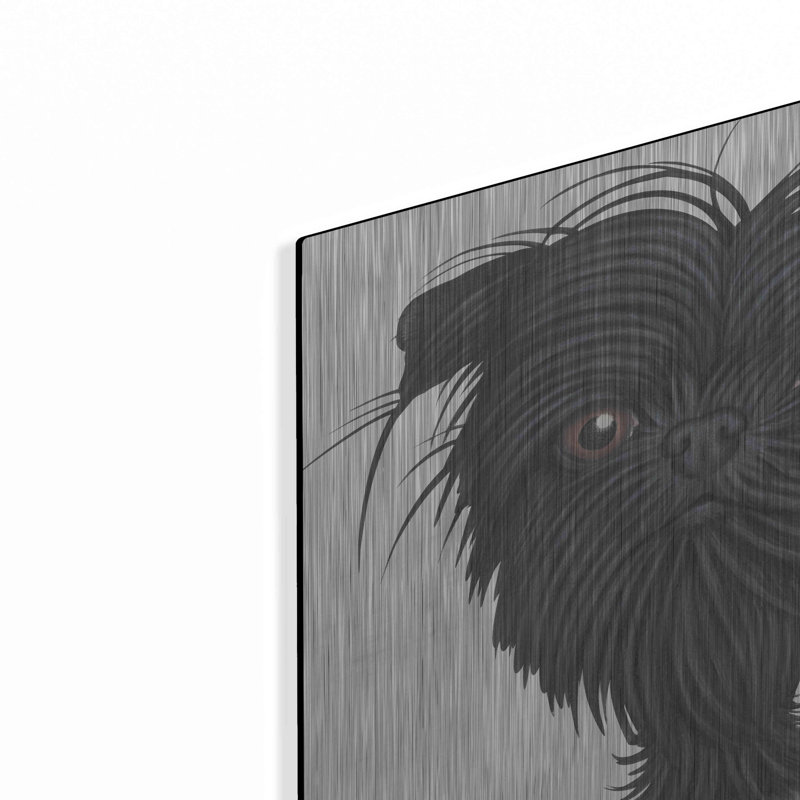 «Affenpinscher Bust» par Danny Gordon, H 12 po x l 12 po