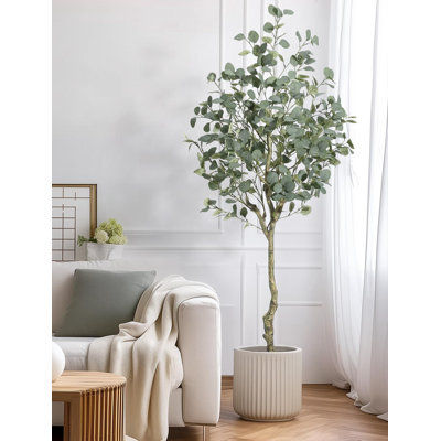 Eucalyptus Tree Artificial With Silver Dollar Leaves