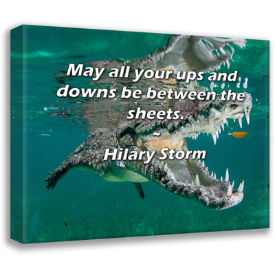 Astoria Grand Gallery Wrapped Canvas By Hilary Storm: "May all your ups and downs be between the shee