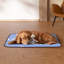 Disposable Polyester Litter Mat