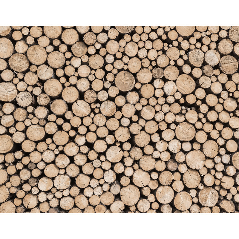 Dameron 3.18m x 250cm Matte Wall Mural