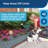 Pawz Away Outdoor Cat and Dog Barrier