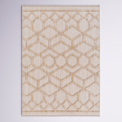 Area Rug