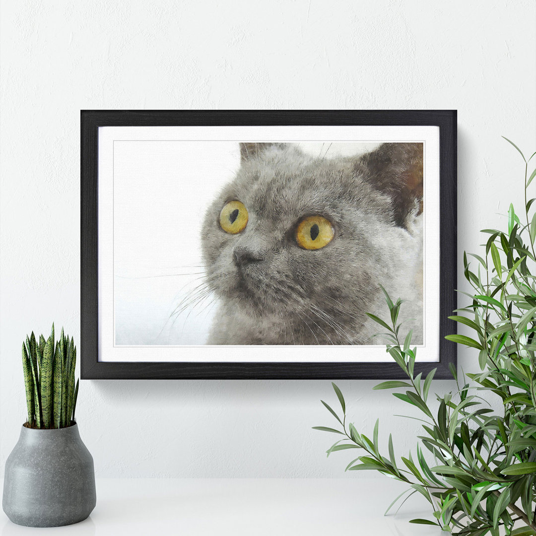 British Shorthair Cat Vol.5 - Picture Frame Painting