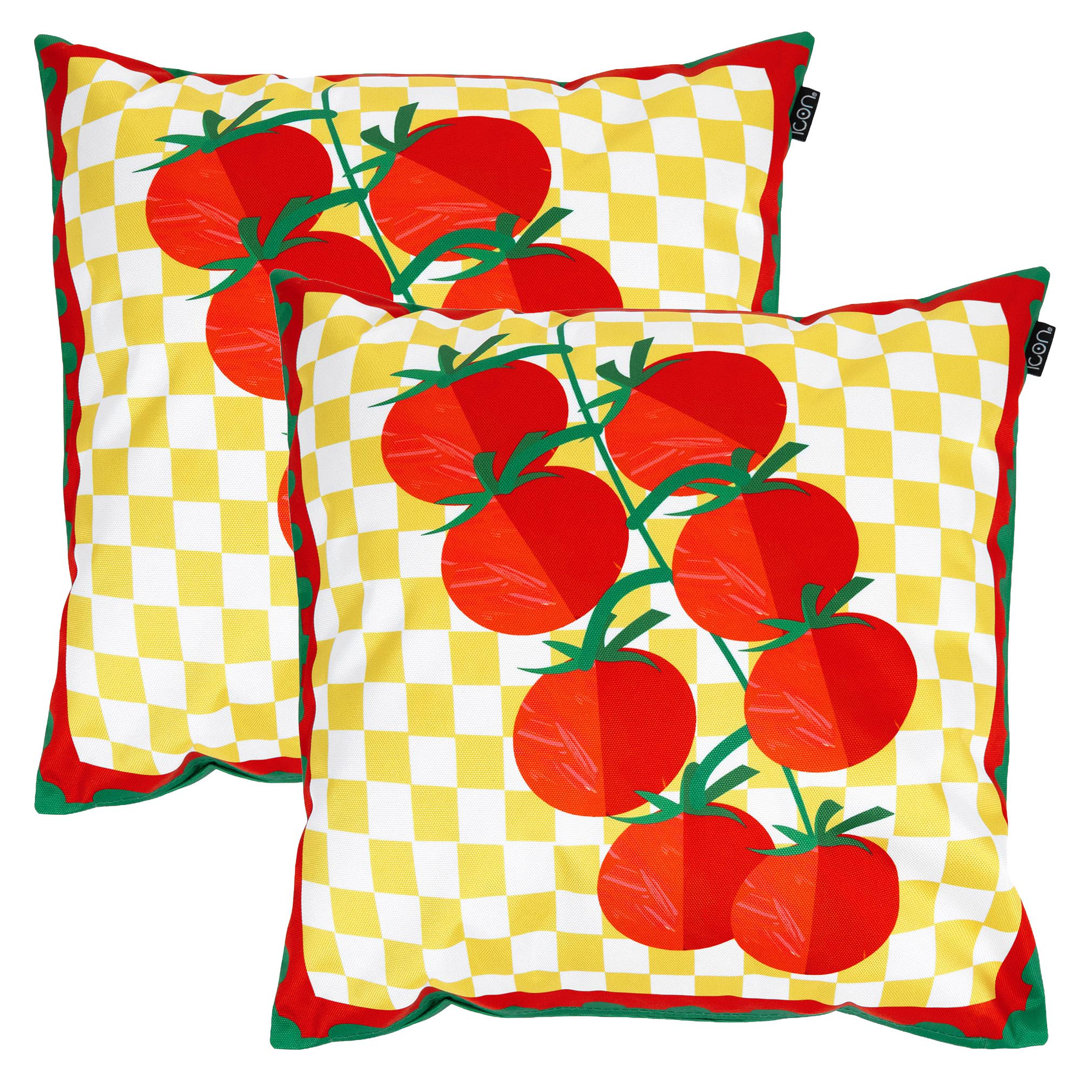 2 Pack Cushion 43x43cm