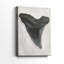 Aquarelle Sharks Tooth I -Gallery Wraraped Cavas-145923903