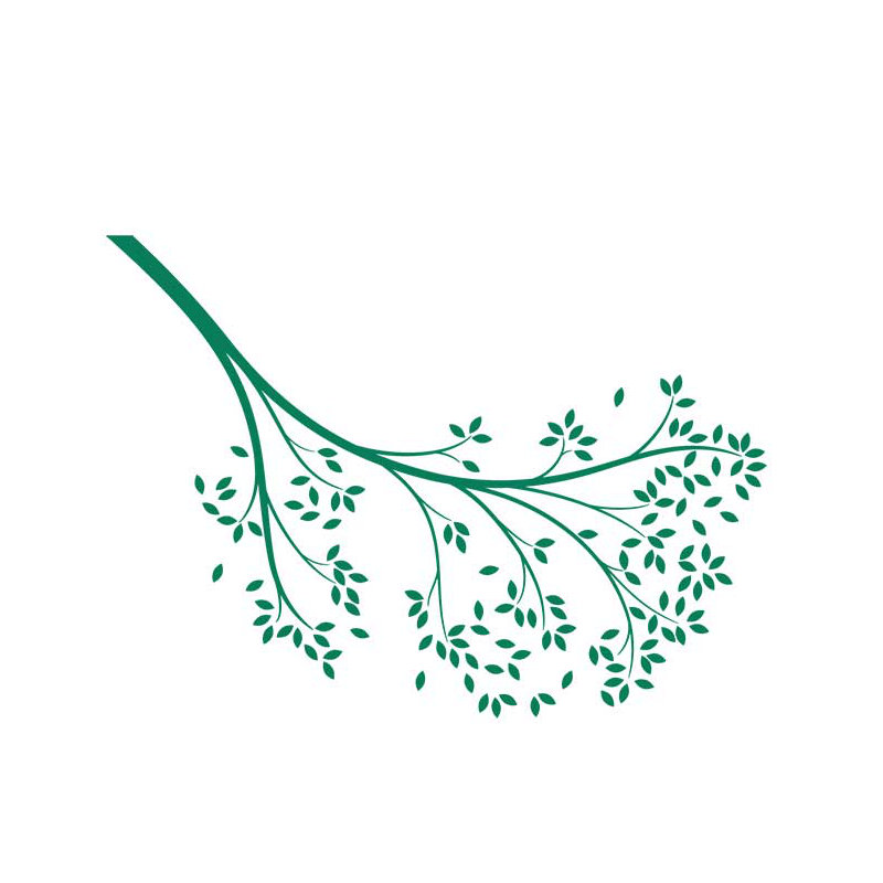 Décalcomanie murale branche atteindre, Vert