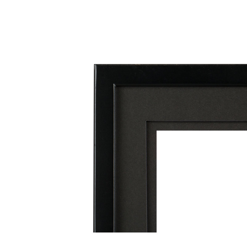 Gilboa Wood Matte Picture Frame with Mat, Black
