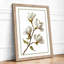 Flowering Branch Botanical - Framed Print-1939142676-1939142682