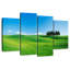 Collines toscanes d'Alvord