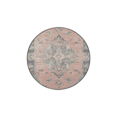Machine Washable Gray Area Rug