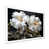 Cadre simple blanc