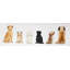 «Man's Best Friend Back View», reproduction encadrée pour la décoration intérieure
