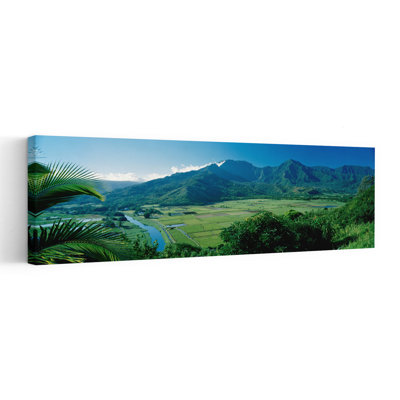 High Angle View of Taro Fields, Hanalei Valley, Kauai, Hawaii, États-Unis, paysage abstrait de montagne, art mural