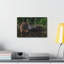 No Frame Print on Canvas-1785736424