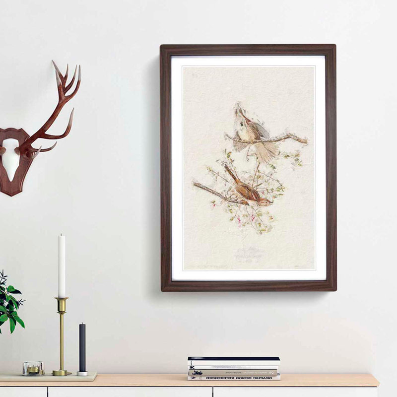 Song Sparrows by John Audubon - Picture Frame Painting Print, Walnut Framed, 65cm H x 48cm W x 2cm D