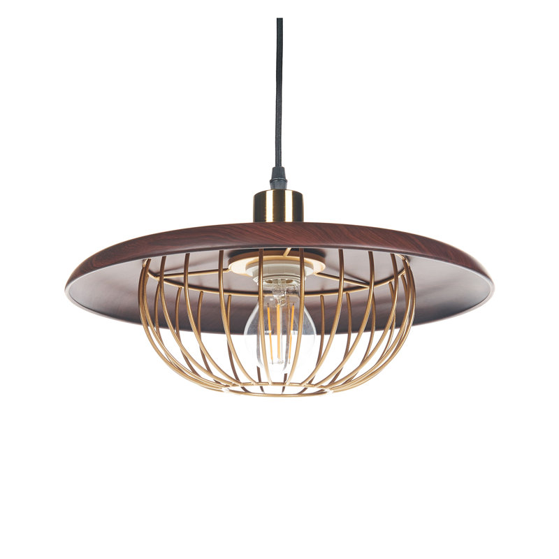 TORDILLO 1 - Light Brushed Gold Novelty Pendant