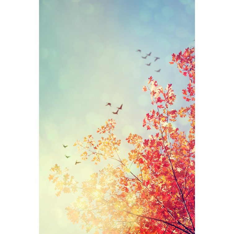 Colorful Foliage In The Autumn Park by Igor_Aleks - Wrapped Canvas Print