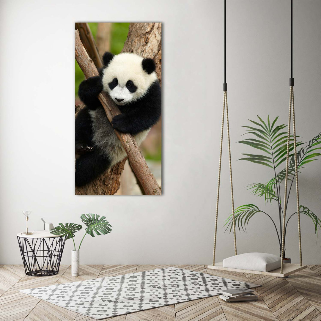 Panda auf dem Baum - Kunstdrucke auf Leinwand