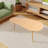Lakyshia Single Coffee Table