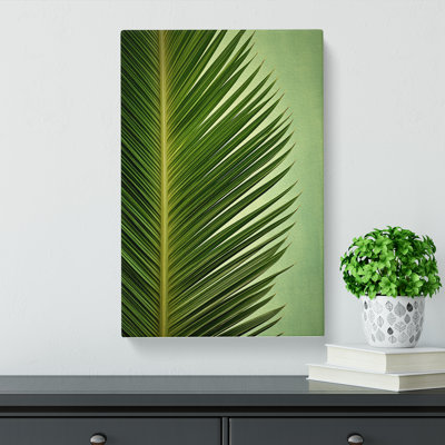 Palm Leaf Symbolism - Wrapped Canvas