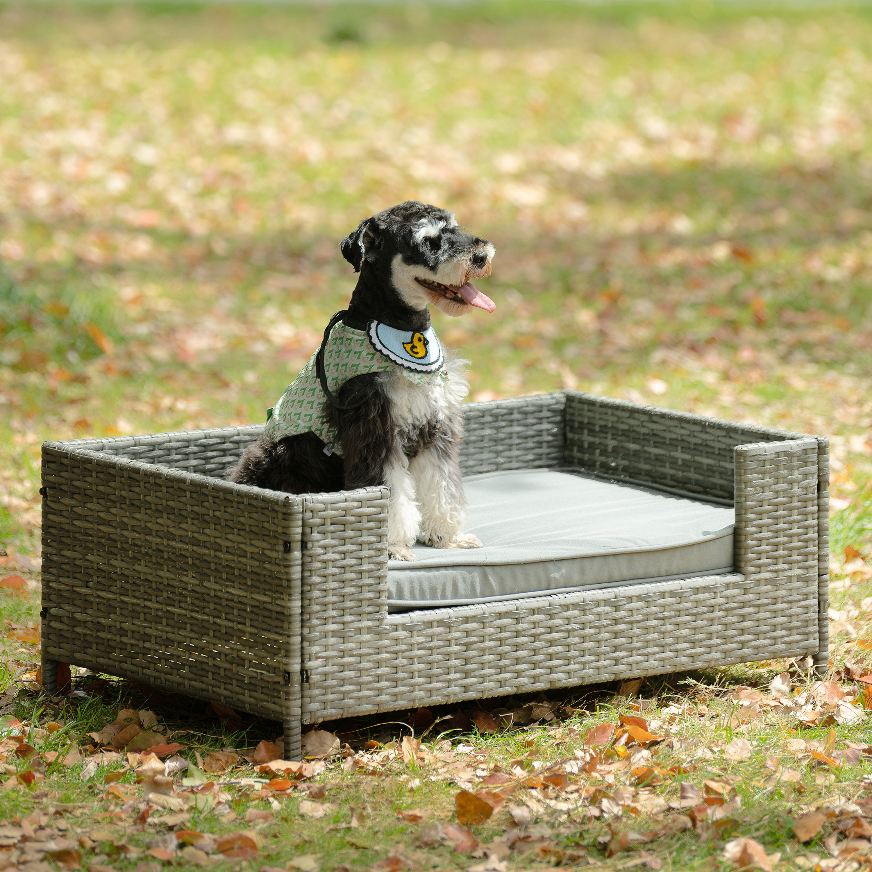 Raised wicker dog store bed