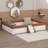 Upholstered Daybed Frame With Fence And Stairs-1697866051