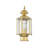 Amberdawn Lantern Head