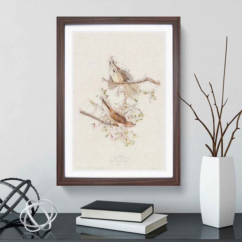 Song Sparrows by John Audubon - Picture Frame Painting Print, Walnut Framed, 36cm H x 27cm W x 2cm D