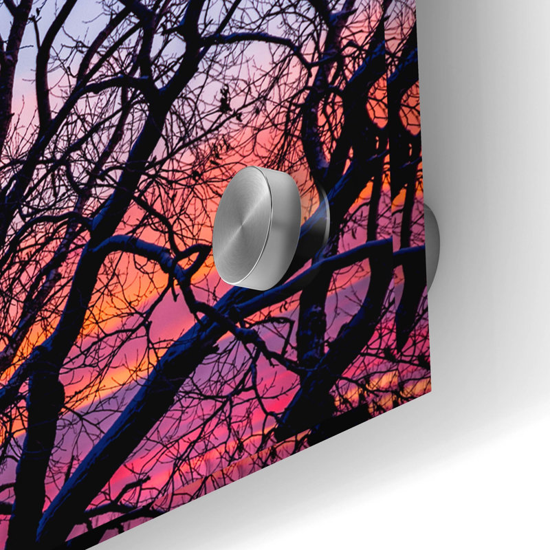 «Sunrise In The Trees» par Darren White, H 24 po x l 48 po
