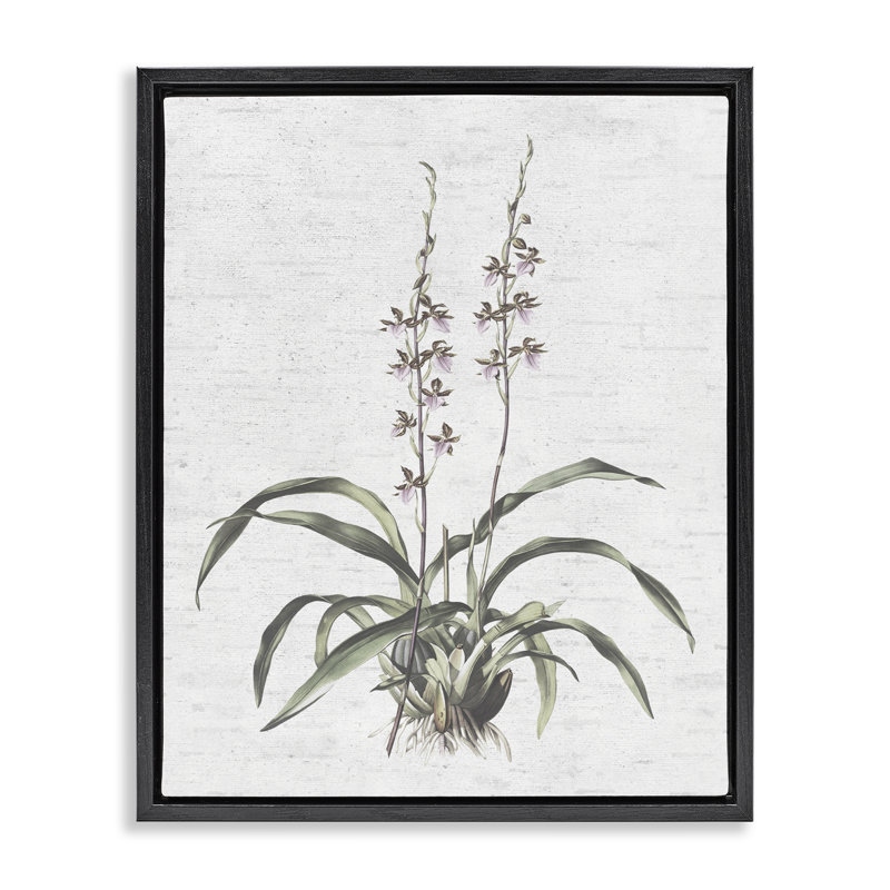 «Blooming Herb Bud», art mural encadré sur toile flottante par lettré et doublé, Cadre flottant noir de jais