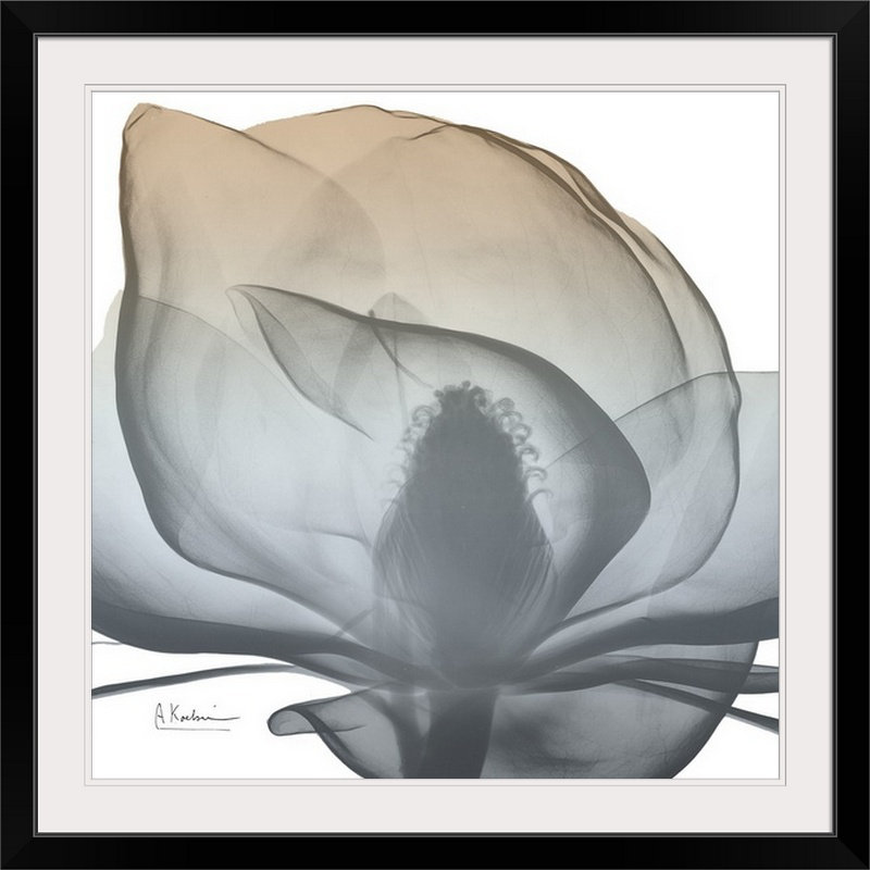 Manigault Albert Koetsier - Print, 24" H x 24" W x 1" D, Black Frame