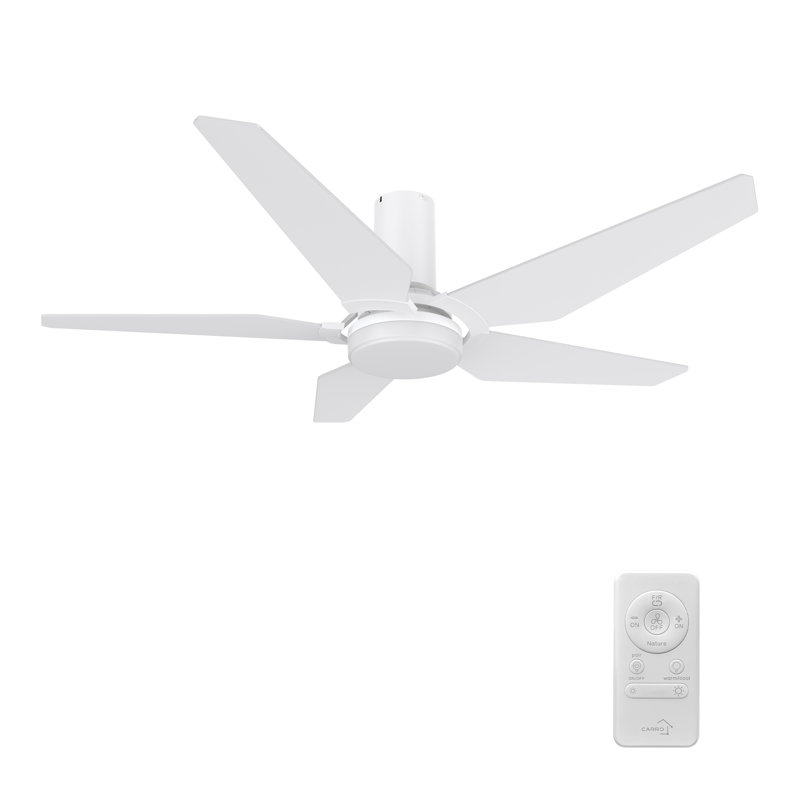 48'' Ceiling Fan with LED Lights