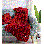 Jeté en tricot torsadé de 50 po x 70 po Dublin