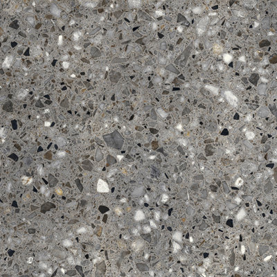 Forage 24" x 24" Matte Tile