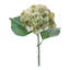 Tige de fleur d'hortensia (ensemble de 4)-2084824452