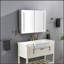 Armoire à pharmacie pour salle de bain avec éclairage à DEL, désembueur et tablettes réglables pour un rangement et une commodité améliorés