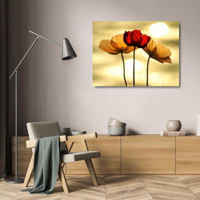 Coquelicots islandais