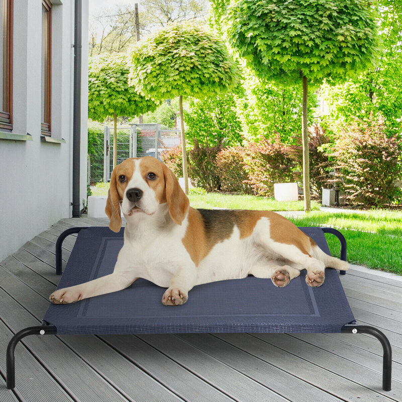 Kristine Polyester Pet Bed