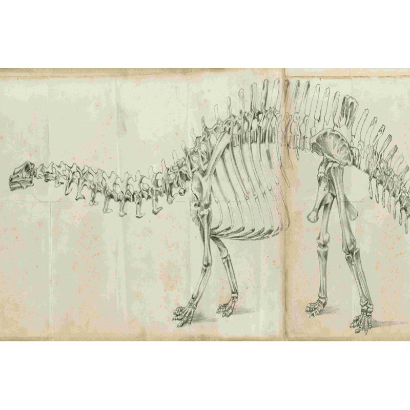 «Dinosaur Study I» par Ethan Harper - peinture sur toile tendue, H 8 po x l 12 po