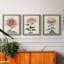 «Chrysanthemum Woodblock I», ensemble de 3 peintures sur toile encadrées-2042041060-2042041063