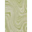 Tapis intérieur / extérieur vert Brodus-712332315