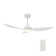 Daisy 45'' Smart Ceiling Fan With Remote, Light Kit Included,Works With Google Assistant And Amazon Alexa,Siri Shortcut