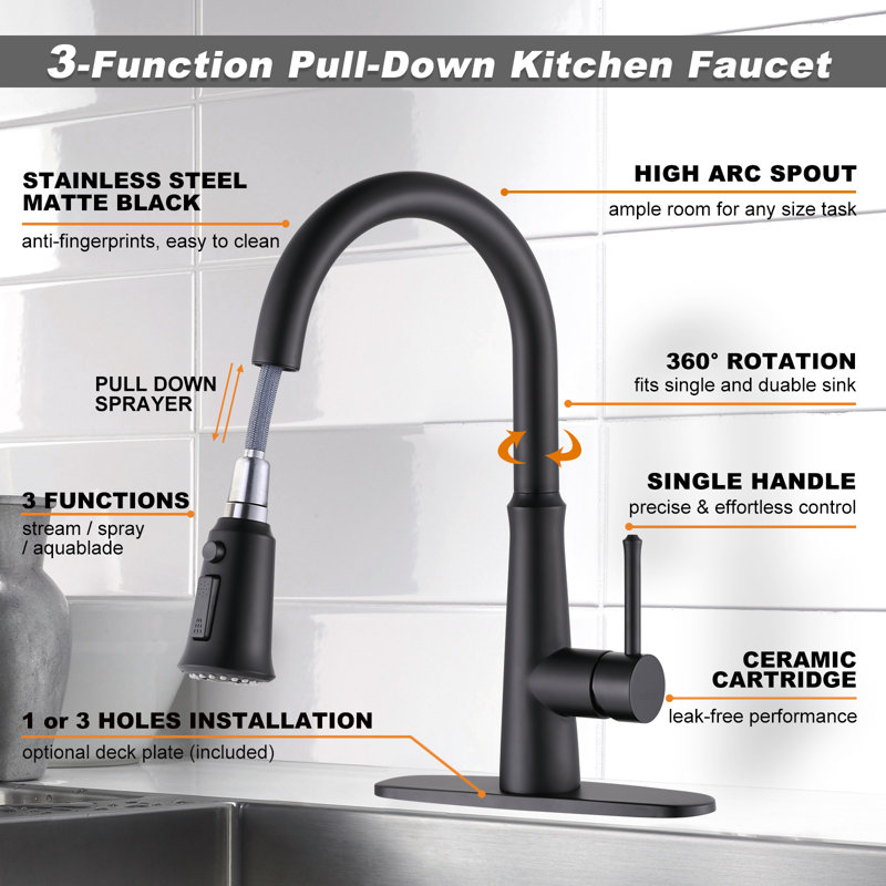 Pull Out Kitchen Faucet, Black