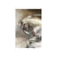 Wild Mustang Print by Nash Rambler-26929623-26929624