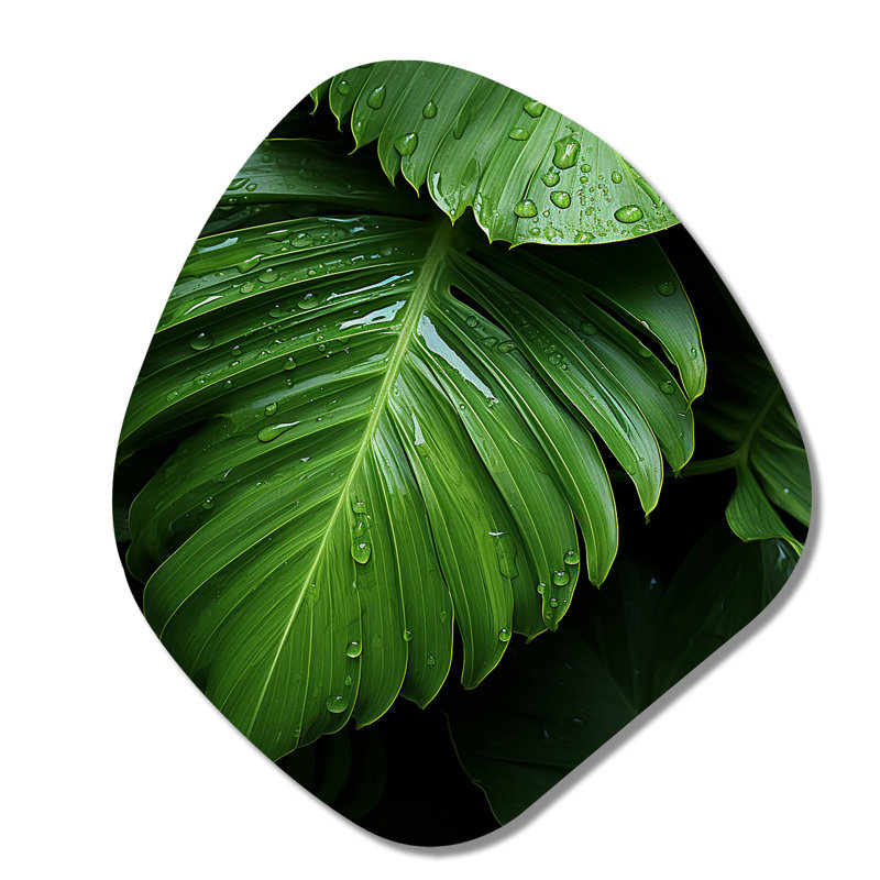 «Miconia - Unique Shape Palms», reproduction d'art asymétrique, H 28 po x l 25 po x P 1 po